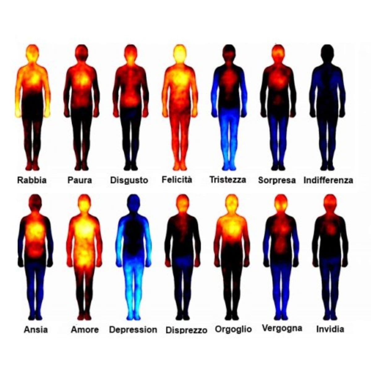 Mappa delle sensazioni associate alle emozioni